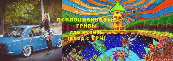 PSILOCYBIN Лагань