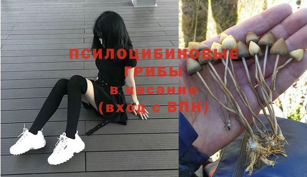 COCAINE Бородино