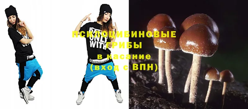 Галлюциногенные грибы Magic Shrooms  ссылка на мегу рабочий сайт  Венёв  наркотики 